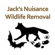 Animal Removal